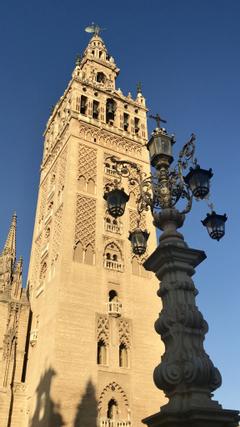 Halo Boutique Hotel | Sevilla | Galerie 24